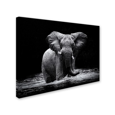Trademark Fine Art -Gorazd Golob 'Power 1' Canvas Art