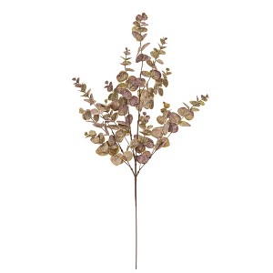 Vickerman Spiral Eucalyptus Collection - 1 of 4