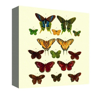 16" x 16" Butterfly Colors II Decorative Wall Art - PTM Images