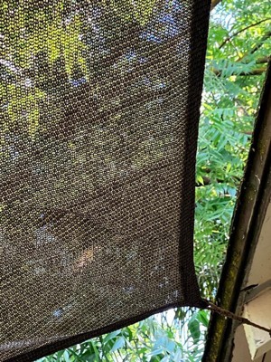 Guest review image 3 of 3, zoom in
