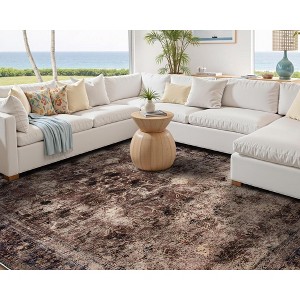 AMERLIFE Area Rug, Machine Washable Vintage Carpet with Non-Slip Backing, Soft Rug for Living Room, Bedroom, Hallway Use - 1 of 4