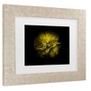 Trademark Fine Art - Brian Carson Backyard Flowers 67 Matted Framed Art - image 3 of 4