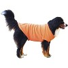 Midlee Coral Dog Sweatshirt - 4 of 4
