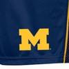 NCAA Michigan Wolverines Poly Shorts - 3 of 3