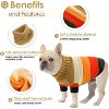Dog Sweaters Girls Boys, Stretchy Turtleneck Pet Knitwear for Small Pets, Warm Fall Doggie Sweatwer, Clothes for Yorkie, Chihuahua, Teacup - 4 of 4