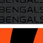 cincinnati bengals