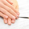 Unique Bargains Universal Nail Painting Brushes for Polish Painting Home DIY Clear Brown 1 Pc - 2 of 4
