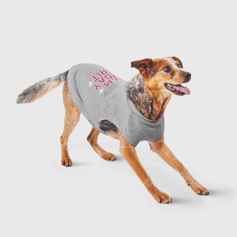 Team Holiday Spirit Matching Family Dog Sweatshirt - Wondershop™ - Gray , 1 of 5