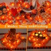FAAYFIAN 4-Pack 10 ft 80-LED Lighted Fall Garland Maple Leaf String Lights, Battery Operated Thanksgiving Home D¨¦cor - 4 of 4