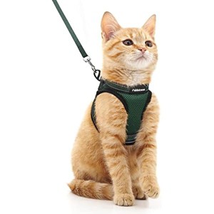 rabbitgoo Cat Harness and Leash Set for Walking Escape Proof, Adjustable  Outdoor Vest,Forest Green, M - 1 of 1
