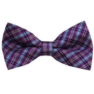 Men's Stripe Color 2.75 W And 4.75 L Inch Pre-Tied adjustable Bow Ties - 1 of 3