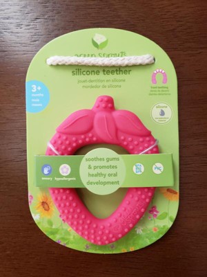 green sprouts silicone fruit teether