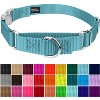 Country Brook Petz Heavyduty Nylon Martingale with Premium Buckle - 3 of 4
