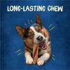 Busy Bone Twisted Chewy with Bacon Flavor Dog Treat - 36oz - 4 of 4