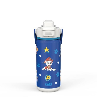 PAW Patrol Harmony Recycled Stainless Steel Kids Water Bottle with Straw  Spout, 14 ounces —