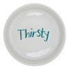 Bone Dry Pet Bowl - Chevron Teal - Large 7.5Dx2.4H Set/2 - 3 of 4