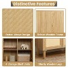 Home Imports Emporium Rattan Cabinet - 3 of 4