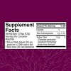 Host Defense Turkey Tail Mushroom Powder - Digestive Health & Immune Support - 3.5 oz (66 Servings)* - 2 of 4