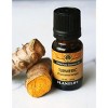 Plantlife Turmeric Essential Oil – 100% Pure & Therapeutic Grade – Natural, Undiluted & Steam-Distilled – No Additives or Fillers – 10ml Aromatherapy - 4 of 4