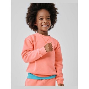 The Children's Place Baby Active Long Sleeve Garment Dyed Premium Fleece Sweatshirt - 1 of 4