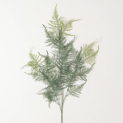 Sullivans Artificial 40" Long Plumosa Fern Spray, Green