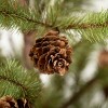2' Sullivans Medium Pinecone Tree In Burlap, Green - 2 of 3