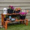 Sunnydaze Outdoor Meranti Wood with Teak Oil Finish 2-Tiered Decorative Succulent Flower Plant Shelf Stand - 24" - Brown - 2 of 4
