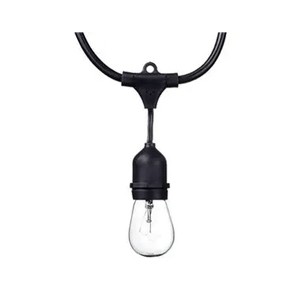 Globe 24 Feet 80 Lumens S14 Dublin LED Vintage String 12 Bulb Light Set, Includes 12 Sockets, Plug In, Black Cord and Bulbs for Indoor and Outdoor Use - 1 of 4