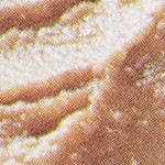 beef with potatoes / corn flavor