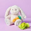 13" Pink Bunny Stuffed Animal - Gigglescape™ - 2 of 3