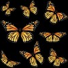 Girl's Design By Humans Monarch butterfly By AnnArtshock T-Shirt - 2 of 3