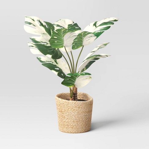 Large Marble Monstera Artificial Plant - Threshold™ - image 1 of 4