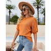 Womens Short Sleeve Lightweight Sweaters Crewneck Knit Pullover Tops with Crochet Sleeve Casual Crochet Blouse Shirt for Spring, Summer - 3 of 4