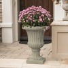 COWLOWN White Classic Urn Planter for Indoor and Outdoor Use, Elegant Decorative Planter for Patio, Garden, and Living Room - 4 of 4