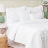 C&F Home 26" x 26" 26 x 26 Eyelashes White Cotton Euro Sham - Machine Washable - 3 of 4