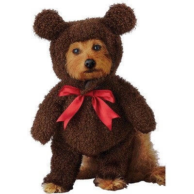 costume teddy bear