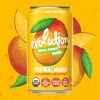 Evolution Fresh Tropical Mango Real Fruit Soda - 12 fl oz - 2 of 4