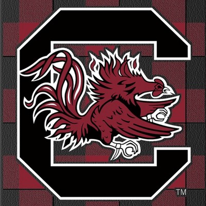 south carolina gamecocks
