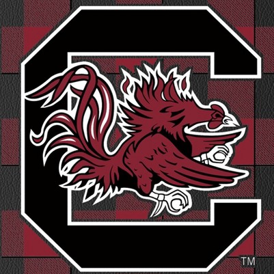 south carolina gamecocks