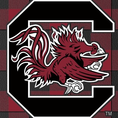 south carolina gamecocks