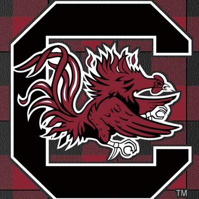 south carolina gamecocks