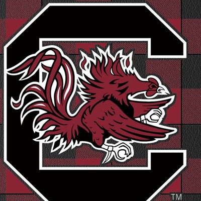south carolina gamecocks