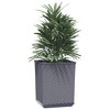 vidaXL Planters 2 pcs Dark Gray 11.8"x11.8"x14.6" Polypropylene - 3 of 4