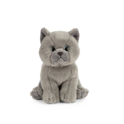 British shorthair outlet stuffed animal