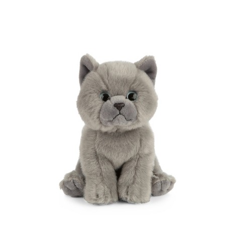 British shorthair on sale plush toy