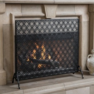VYNXARIA Single Panel Iron Fire Screen,with a chic, minimalistic aesthetic and functionality in mind,Black - 1 of 4