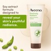 Aveeno Positively Radiant Brightening & Exfoliating Face Scrub - 5oz - 3 of 4