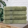 Egyptian Quality Cotton Absorbent Luxury Weight Set by Blue Nile Mills - 2 of 4