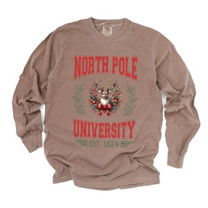 Simply Sage Market Women's North Pole University Coquette Long Sleeve Garment Dyed Tee - 1 of 4