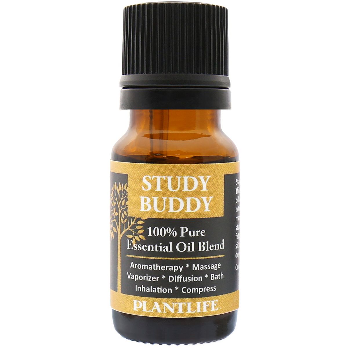 Plantlife Study Buddy Essential Oil Blend – 100% Pure & Therapeutic Grade – Natural, Undiluted & Focus-Boosting – No Additives or Fillers – 10ml